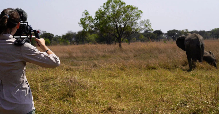 The global fight to protect elephants