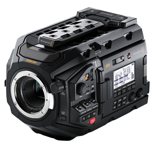 Ursa