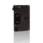 Gold mount lock plate 01_SHAPE_Gold-Mount_Battery_Plate